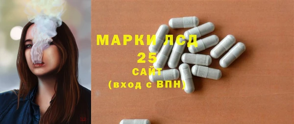 ПСИЛОЦИБИНОВЫЕ ГРИБЫ Бугульма