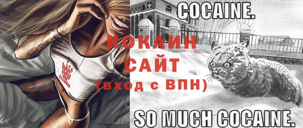 круглые Белокуриха
