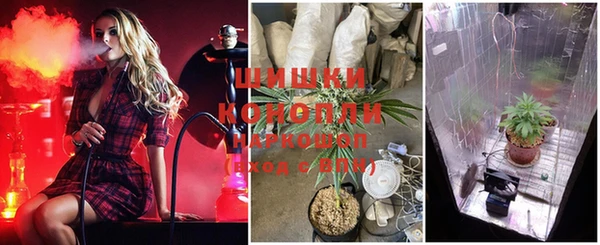 альфа пвп Бородино